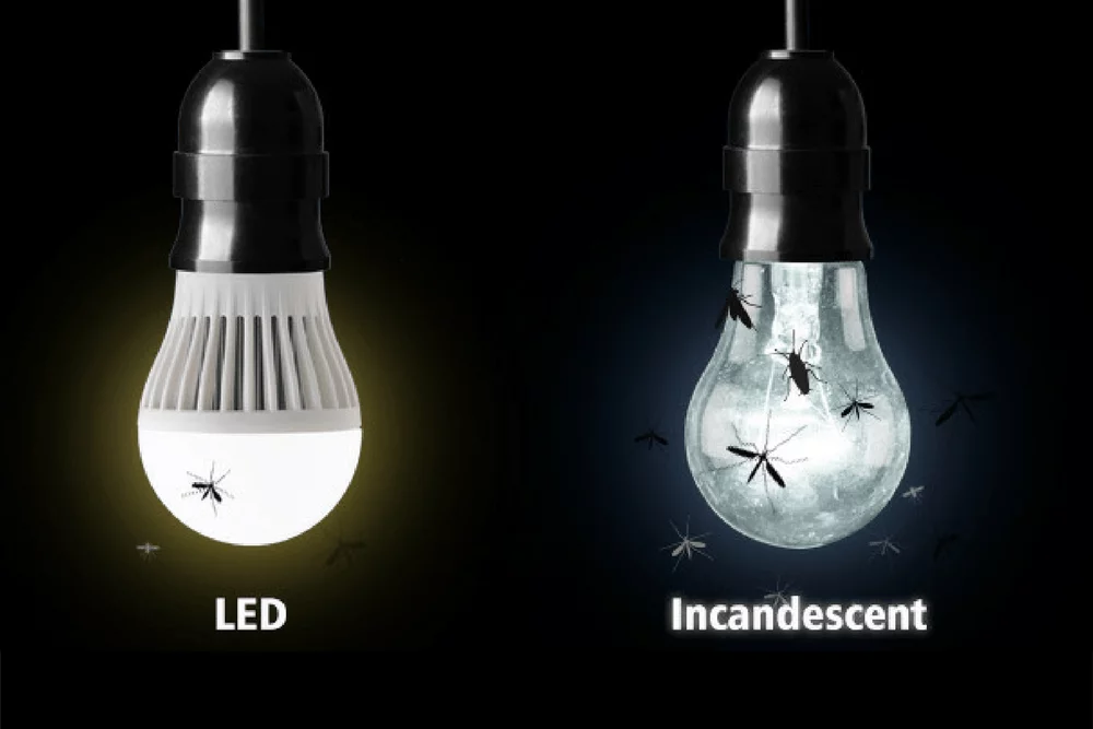 led-lighting-services