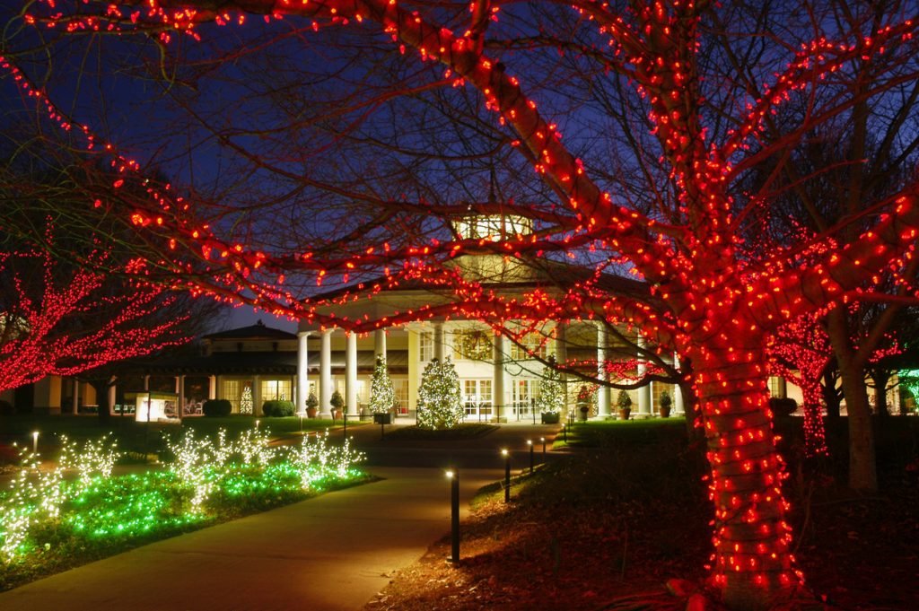 Effortless Elegance Clubhouse Holiday Lighting Tips