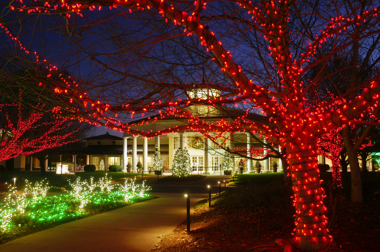 Effortless Elegance Clubhouse Holiday Lighting Tips