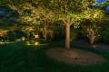 High Point Landscape Lighting Designs- Southern Lights Outdoor Lighting & Audio-2_result