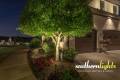 Southern Lights Outdoor Lighting & Audio- Custom Lighting Designs in Birkhaven Neighborhood, Summerfield, NC 27358-4_result