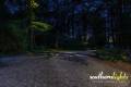 Southern Lights Landscape Lighting Designs and Installations in Summerfield, NC 27358-25_result