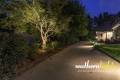Southern Lights Outdoor Lighting & Audio- LED Lighting on Architectural and Landscape in Northern Shores Neighborhood, Greensboro NC 27455-32_result