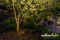 Southern Lights Lighting Designs and Installations in Greensboro Northern Shores-15_result