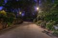 Southern Lights Lighting Designs and Installations in Greensboro Irving Park-21_result