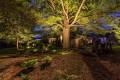 High Point Landscape Lighting Designs- Southern Lights Outdoor Lighting & Audio-18_result